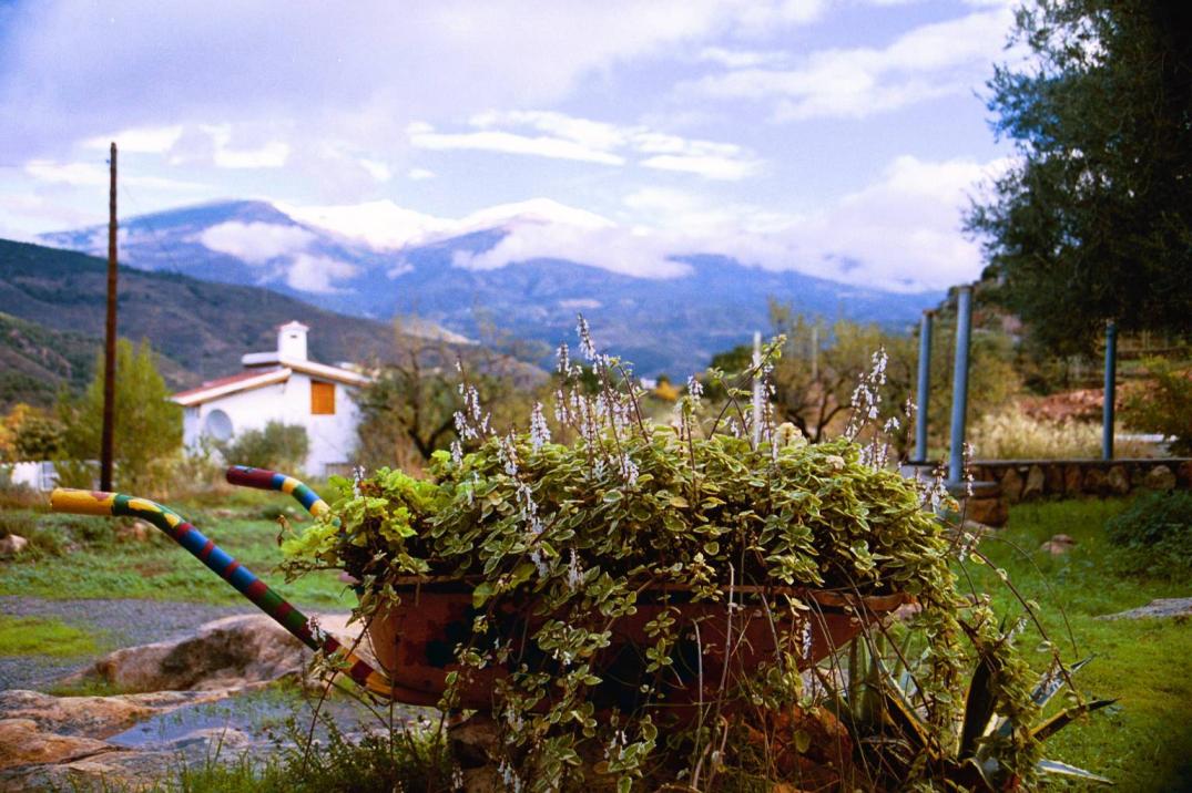 Más Fotos Huerta